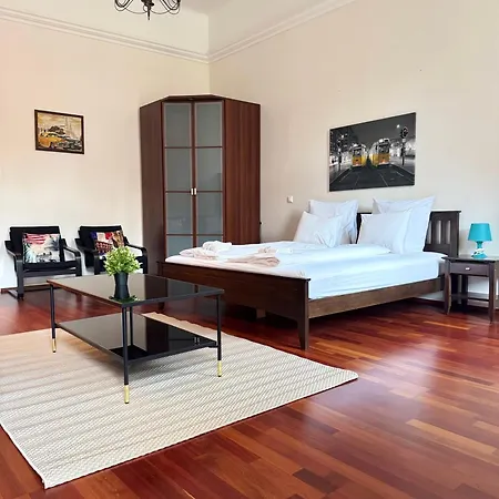 Standard By Hi5- Kiraly Apartament *